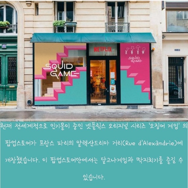 오징어 (2).jpg